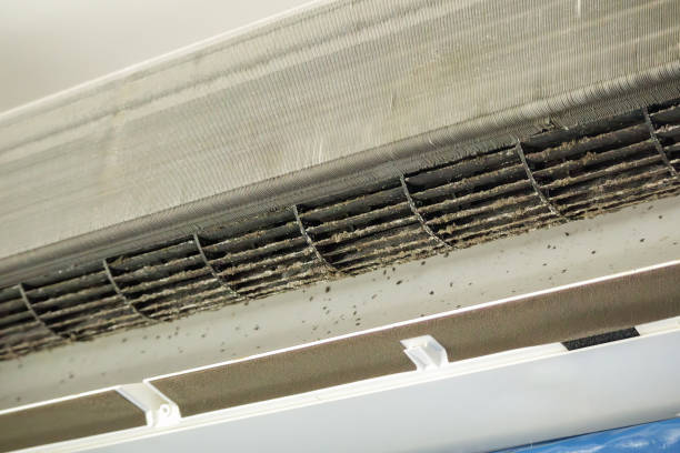 Best Commercial Air Duct Cleaning  in Milbank, SD